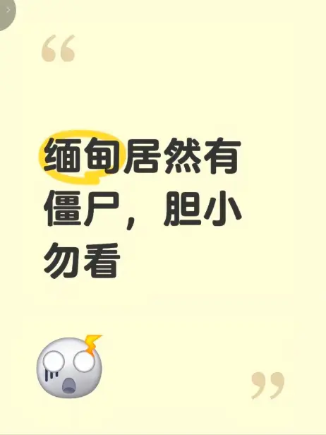 《缅甸僵尸出土事件》高清完整版在线播放-缅北神秘事件真相揭秘-现场全程录像资源