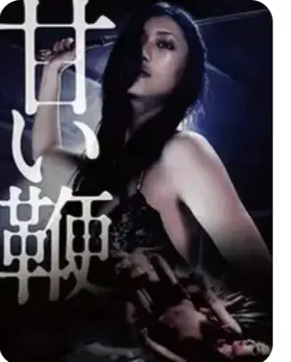 《甜蜜皮鞭》1080P超清未删减版在线观看-中文字幕高清完整版免费播放-日本经典剧情片甜蜜皮鞭HD资源