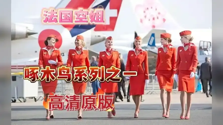《法国空姐4》热播合集法国空姐4-法国空姐1-3季加2019法版完整版-资源下载无卡顿高清4K免费观看