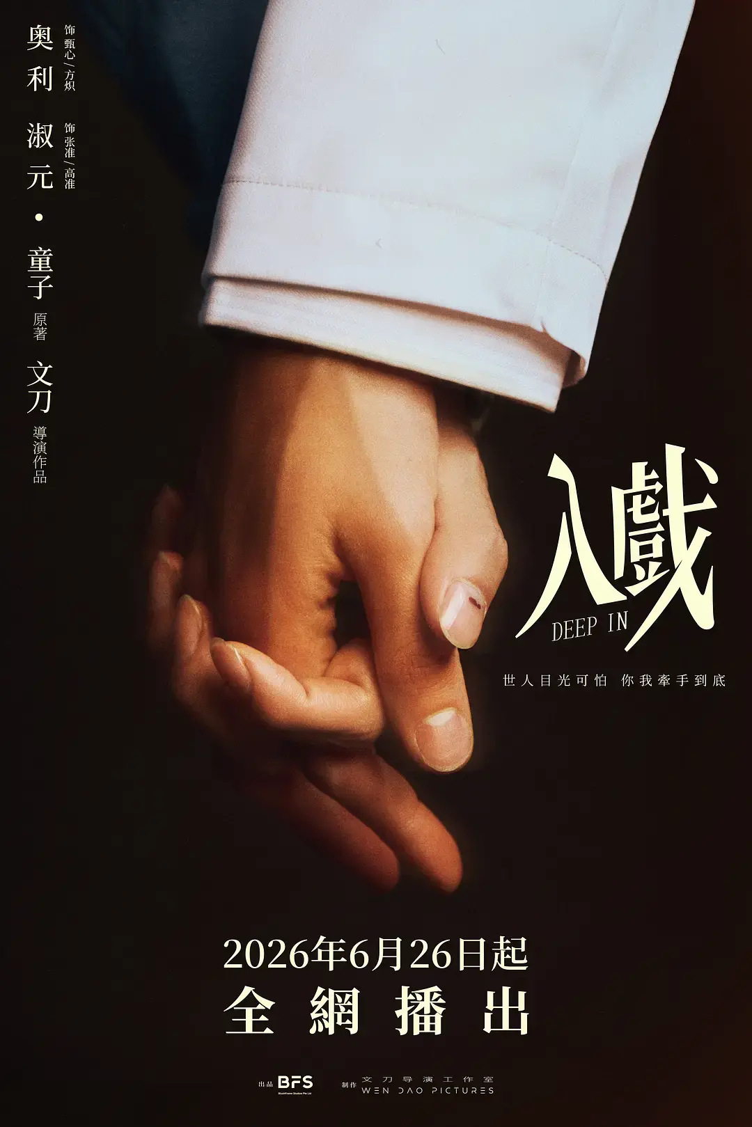 《入戏》2026双男主爱情剧全季-《入戏》高清免费在线观看-1080P超清画质无删减版